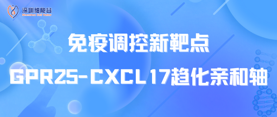 免疫调控新靶点：GPR25-CXCL17趋化亲和轴