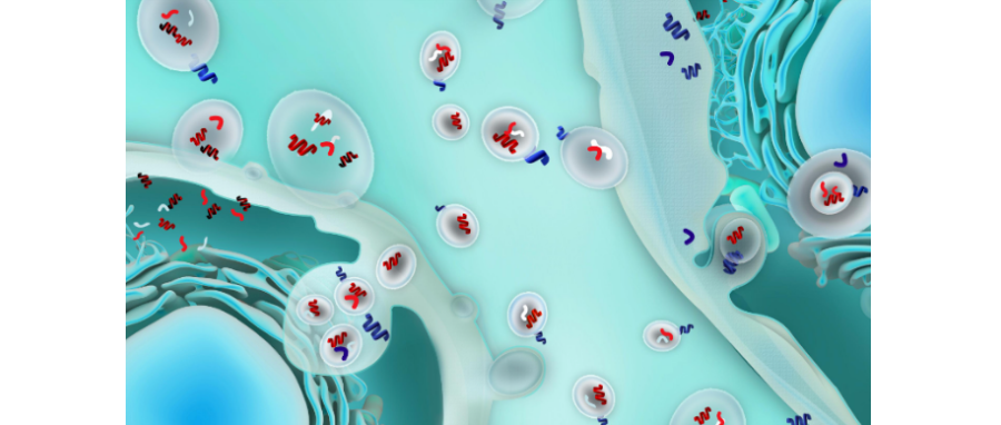 哪吒闹海！外泌体面纱大揭秘，我命由我不由天！