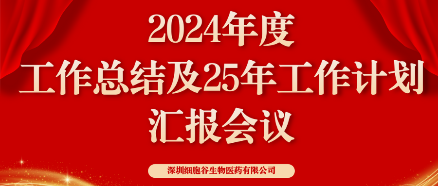 以初心致未来，共筑新辉煌 ——深圳凯发K82024年度管理层总结会顺利召开