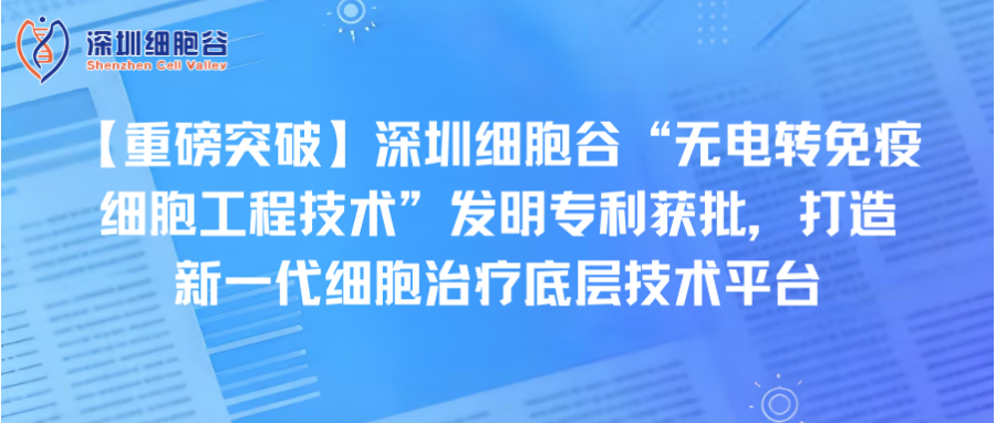 【重磅突破】深圳凯发K8“无电转免疫细胞工程技术”发明专利获批，打造新一代细胞治疗底层技术平台